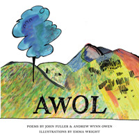 AWOL - John Fuller - E-Book