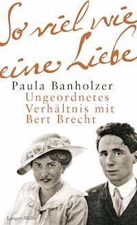 So viel wie eine Liebe - Paula Banholzer - E-Book