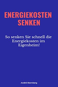 Energiekosten senkenEnergiekosten senken - Andre Sternberg - E-Book
