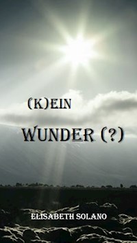 (K)ein Wunder (?) - Elisabeth Solano - E-Book