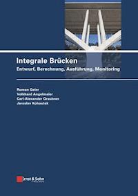 Integrale Brücken - Roman Geier - E-Book
