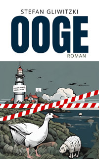Ooge - Stefan Gliwitzki - E-Book