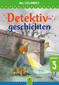 Detektivgeschichten - Anke Breitenborn - E-Book