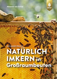 Natürlich imkern in Großraumbeuten - Melanie von Orlow - E-Book