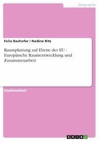 Raumplanung auf Ebene der EU - Europäische Raumentwicklung und Zusammenarbeit - Felix Bachofer - E-Book