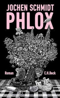 Phlox - Jochen Schmidt - E-Book