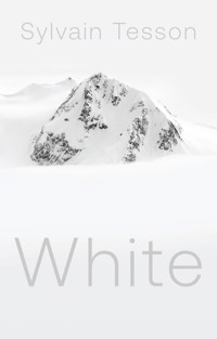 White - Sylvain Tesson - E-Book