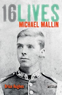 Michael Mallin - Brian Hughes - E-Book