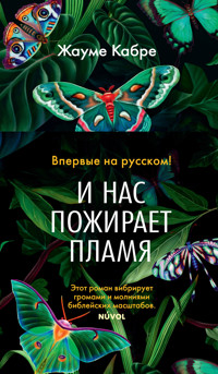 И нас пожирает пламя - Жауме Кабре - E-Book
