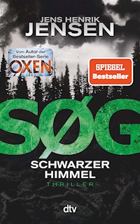 SØG. Schwarzer Himmel - Jens Henrik Jensen - E-Book