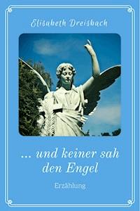 ... und keiner sah den Engel - Elisabeth Dreisbach - E-Book