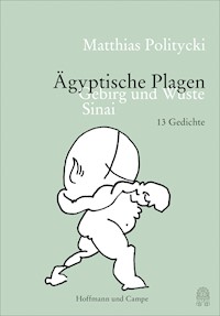 Ägyptische Plagen - Matthias Politycki - E-Book