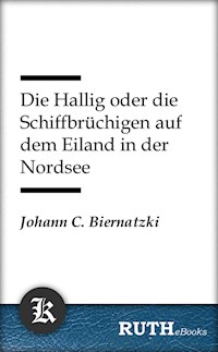 Die Hallig oder die Schiffbrüchigen auf dem Eiland in der Nordsee - Johann Christoph Biernatzki - E-Book