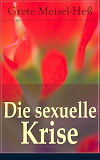 Die sexuelle Krise - Grete Meisel-Heß - E-Book