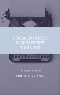 Schlachtfelder, Fluchtpunkte, Träume - Dominik Mutter - E-Book