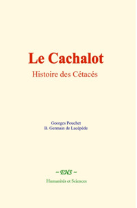 Le Cachalot - Georges Pouchet - E-Book