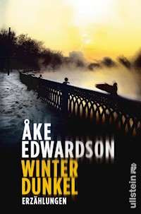 Winterdunkel - Åke Edwardson - E-Book