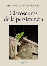 Claroscuros de la persistencia - Jésica Galeano Jarcousky - E-Book