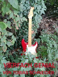 Vierfach Genial - Tobias Schneider - E-Book