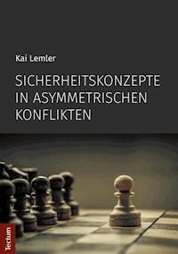 Sicherheitskonzepte in asymmetrischen Konflikten - Kai Lemler - E-Book