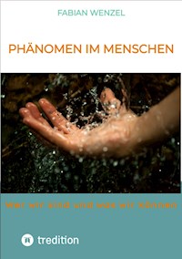 Phänomen im Menschen - Fabian Wenzel - E-Book