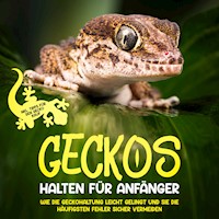 Geckos halten für Anfänger: Wie die Geckohaltung leicht gelingt und Sie die häufigsten Fehler sicher vermeiden - inkl. Tipps für den Gecko Kauf - Saskia Meydorn - Hörbuch