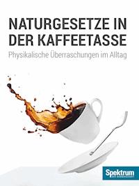 Naturgesetze in der Kaffeetasse - H. Joachim Schlichting - E-Book