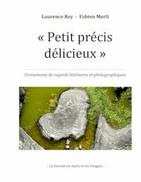 Petit précis délicieux - Rey Laurence - E-Book