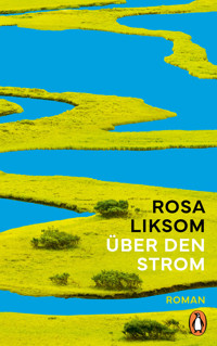 Über den Strom - Rosa Liksom - E-Book