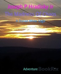 The Madness Of Chaos - Joseph P Hradisky Jr - E-Book