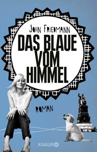 Das Blaue vom Himmel - John Friedmann - E-Book
