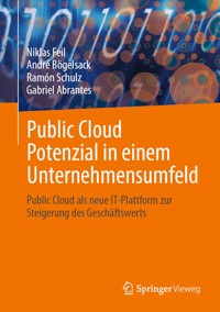 Public Cloud Potenzial in einem Unternehmensumfeld - Niklas Feil - E-Book