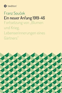 Ein neuer Anfang 1919-46 - Franz Soucek - E-Book