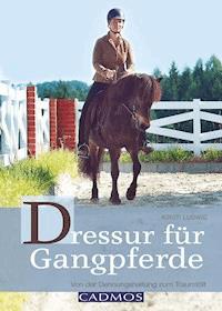 Dressur für Gangpferde - Kirsti Ludwig - E-Book