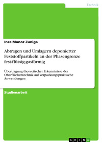 Abtragen und Umlagern deponierter Feststoffpartikeln an der Phasengrenze fest-flüssig-gasförmig - Ines Munoz Zuniga - E-Book
