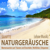 Sanfte Naturgeräusche (ohne Musik) - Meeresrauschen zum Träumen und Einschlafen, Wohlfühlen, Entspannen - Wellenrauschen pur, sanfte Naturgeräusche pur - Torsten Abrolat - Hörbuch