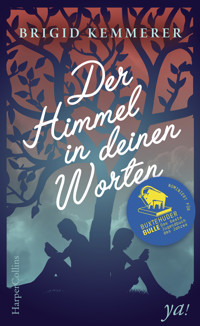 Der Himmel in deinen Worten - Brigid Kemmerer - E-Book