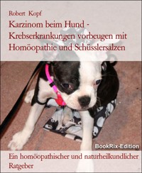Karzinom beim Hund - Krebserkrankungen vorbeugen mit Homöopathie und Schüsslersalzen - Robert Kopf - E-Book