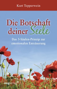 Die Botschaft deiner Seele - Kurt Tepperwein - E-Book