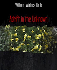 Adrift in the Unknown - William Wallace Cook - E-Book