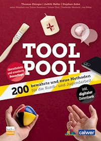 Tool Pool - Thomas Ebinger - E-Book