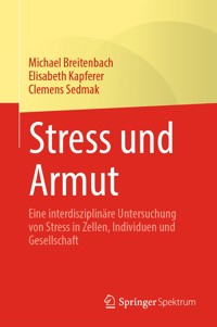 Stress und Armut - Michael Breitenbach - E-Book