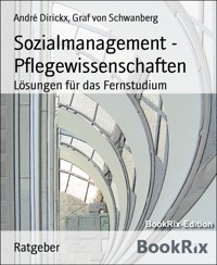 Sozialmanagement - Pflegewissenschaften - André Dirickx - E-Book