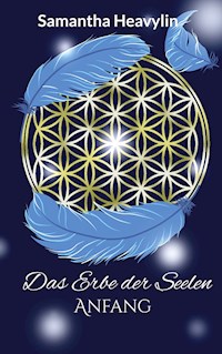 Das Erbe der Seelen - Samantha Heavylin - E-Book