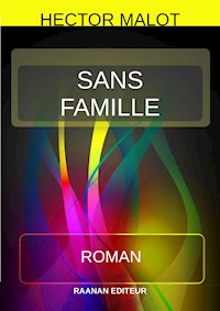 Sans Famille - Hector Malot - E-Book