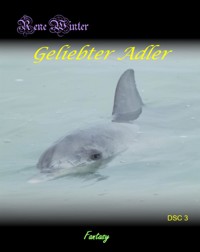 Geliebter Adler - Rene Winter - E-Book