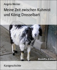 Meine Zeit zwischen Kuhmist und König Drosselbart - Angela Werner - E-Book
