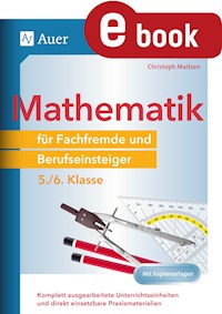 Mathematik für Fachfremde und Berufseinsteiger 5-6 - Christoph Maitzen - E-Book