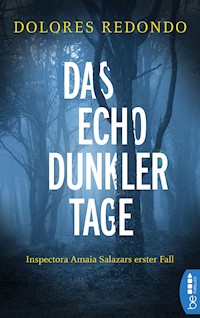 Das Echo dunkler Tage - Dolores Redondo - E-Book
