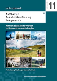 Nachhaltige Besucherstromlenkung im Alpenraum - Markus Lassnig - E-Book